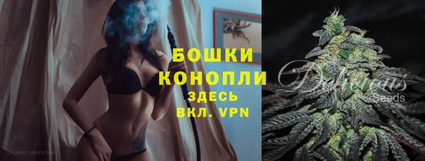дживик Аркадак