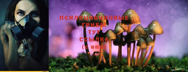 дживик Аркадак