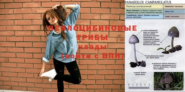 амфетамин Арсеньев