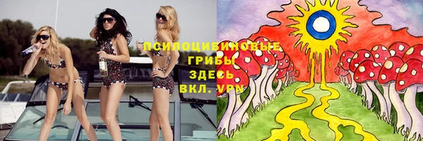 дживик Аркадак