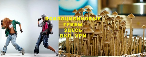дживик Аркадак