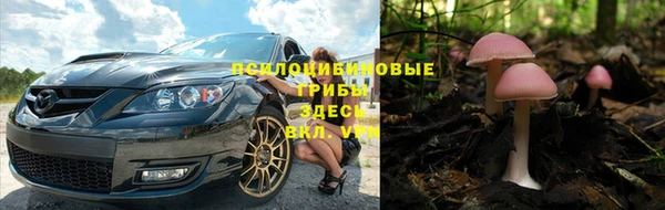 МДПВ Алексин
