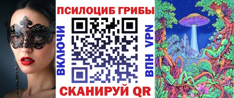 даркнет сайт shop телеграм Псилоцибиновые грибы Psilocybine cubensis Ивдель