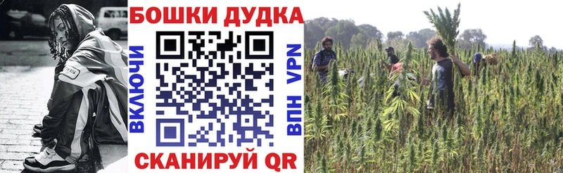 сайты даркнета какой сайт  закладки  Ивдель  Бошки Шишки марихуана 